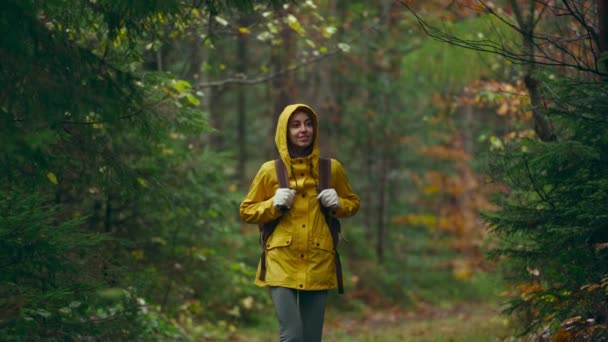 Γυναίκα στο σακάκι eyllow αδιάβροχο περπάτημα σε εξωτερικούς χώρους με σακίδιο στο άγριο δάσος με μονοπάτι, πεζοπορία σε ομιχλώδη δάση φθινόπωρο — Αρχείο Βίντεο