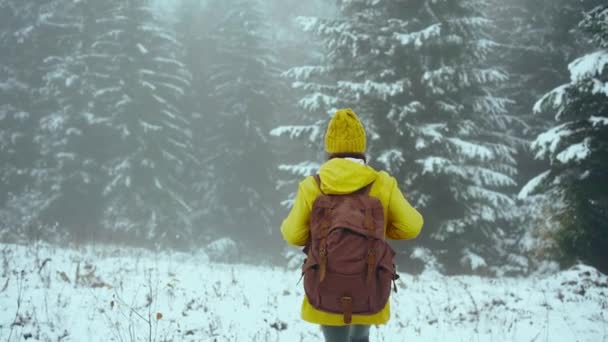 Жіночий рюкзак у жовтому одязі, що ходить у зимовому ялинковому лісі. Ялинові дерева в таємничому тумані, снігові морози і туманному пейзажному сцені — стокове відео