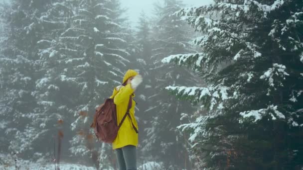 Fröhliche, fröhliche Frau in gelber, warmer Kleidung lädt ein, ihr im winterlichen Wald mit fallendem Schnee zu folgen. Weihnachtsurlaub im Freien. — Stockvideo