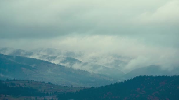 Morgenmist boven dennenbos, mistig landschap, donkere wolken. Karpaten, Oekraïne — Stockvideo