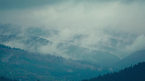 Misty τοπίο με όμορφα βουνά καλύπτονται κύματα ομίχλης. Mist στην κοιλάδα με τα δέντρα σιλουέτες στους λόφους — Αρχείο Βίντεο