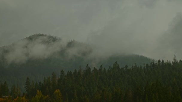 Prachtig mistig mistroostig landschap met donker bos op berg tussen lage wolken. Gloomy atmosferische landschap met naaldbomen in mysterieuze dichte mist — Stockvideo