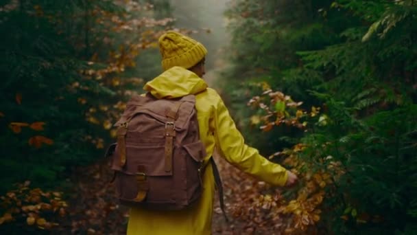 Slow motion kamera följer Woman vandrare i gul regnrock. attraktiv glad ung flicka med ryggsäck vandring i grön skog vid kall dimmig regnig höstdag, vidröra våta grenar och blad för hand — Stockvideo