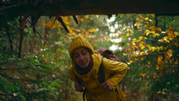 Ralenti attrayant jeune randonneur femme en imperméable jaune et bonneterie beany avec sac à dos randonnée dans les bois verts humides à froid jour d'automne brumeux. fille marche sur le sentier avec fourrés et et arbres tombés — Video