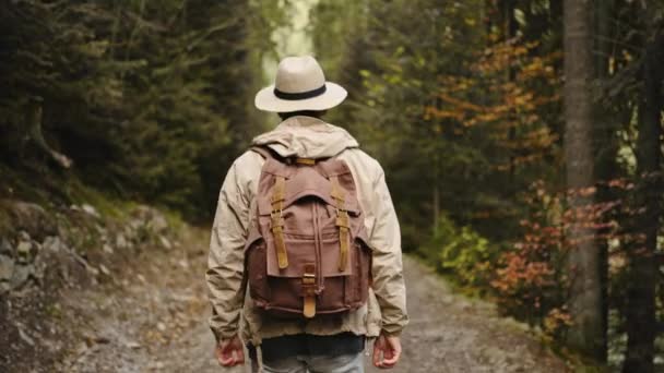 Hombre hipster en ropa casual y sombrero Senderismo en el bosque en otoño. Hombre caucásico sano activo con una mochila que toma en madera. viajero masculino camina a lo largo de la vista trasera del bosque, ocio, bio-turismo, senderismo — Vídeos de Stock