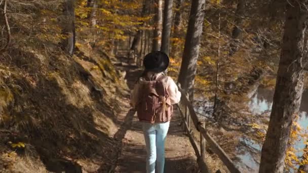 Indietro vista Donna passeggiate turistiche sul sentiero nella foresta autunnale nella soleggiata giornata autunnale. escursionista femminile con zaino escursioni nella foresta intorno lago di montagna al freddo mattina di sole, avventura stile di vita all'aperto — Video Stock