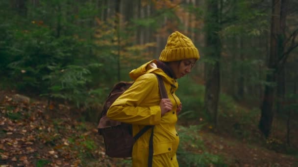 천천히 움직 이는 예쁜 여자가 노란 옷을 입고 젖은 가을 숲 속을 혼자 걷고 있는 관광객 배낭을 든 채 주말 여행을 즐기고 있다. 야외에 있는 사람들. — 비디오
