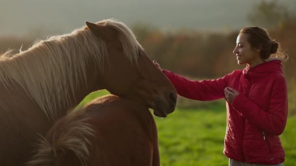 Cámara lenta primer plano b-roll tierna mujer feliz acariciando un potro de caballo en el campo verde al atardecer — Vídeo de stock