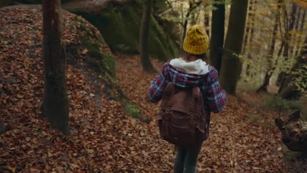 Aventureuse fille hipster avec sac à dos marchant sur la forêt sentier. Vacances d'automne et voyage de vacances, étudiante en désintoxication numérique, vacances à pied, proche de la nature. — Video