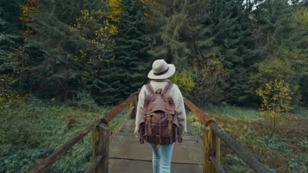 Arka plan kamerası, sonbaharda ormanda yürüyüş yapan sıradan giysili ve şapkalı hipster kadını takip ediyor. Turist bir gezgin ormanda yürüyüş yapıyor, dağ gölündeki eski ahşap köprüde yürüyor. — Stok video