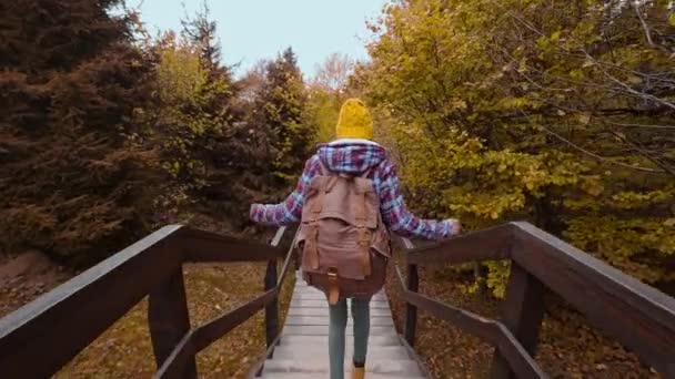 Turistická stezka: Mladá dívka Hipster Walking Turistická stezka Přírodní park. Venkovní rekreační aktivity Dovolená Cestování. Turistika Osoba Cestování Procházky Turistika Trail Forest. Podzimní krajina lesa — Stock video