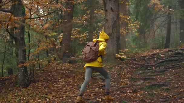Молодая женщина с рюкзаком и собачкой поднимается по лесной тропе, предлагая живописный вид на деревья, меняющие цвет. туристка берет своего питомца на прогулку в осенний лес — стоковое видео