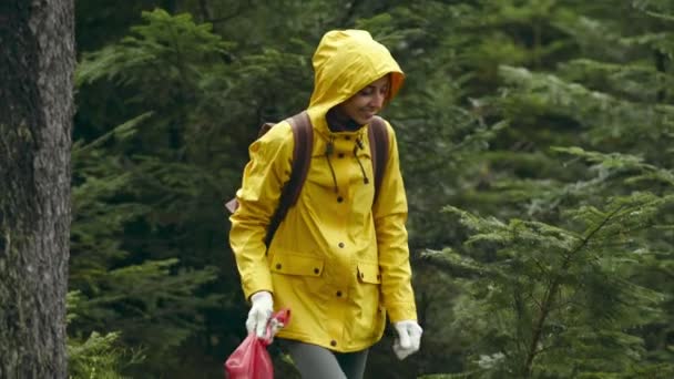 Счастливая женщина в жёлтом плаще ходит с пластиковым пакетом с грибами в мокрой древесине после дождя. Сезон собирания гусей. Грибы Порчини. Сбор грибов в лесу в осенний сезон — стоковое видео