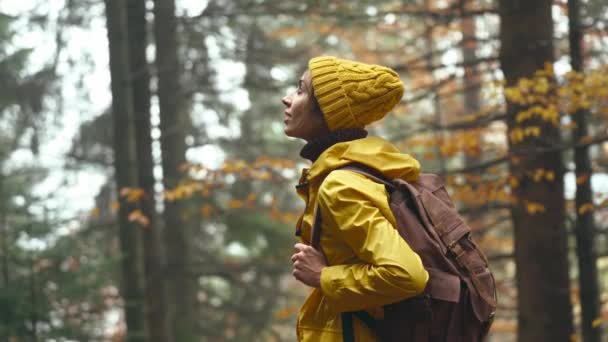 Збільшення камери крупним планом портрет досить надихаючої молодої жінки, що ходить з рюкзаком, одягнений в яскраво-жовтий плащ і бані. дівчина дивиться навколо насолоджуючись красою природи в чудовому осінньому лісі — стокове відео
