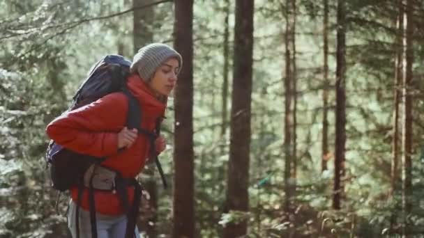 Mujer aventurera inspirada con mochila que camina por el camino del bosque. Vacaciones de otoño y viaje de vacaciones, estudiante de senderismo en desintoxicación digital, vacaciones a pie, cerca de la naturaleza. cámara lenta — Vídeo de stock