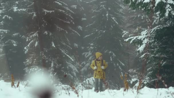 Женщина ходит одна в зимнем лесу, наслаждается дикой природой, носит желтую зимнюю одежду и рюкзак. Скоро зима. — стоковое видео