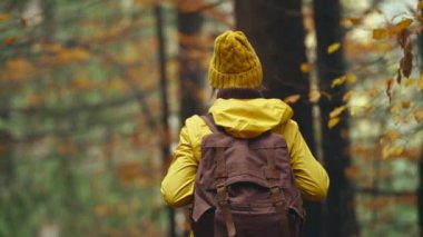 Kamera Atumn 'da ormanda yürüyüş yapan kadını izliyor. Sarı açık hava elbiseli maceraperest kadın sırt çantasıyla patikada yürüyüş yapıyor. Huzurlu yeşil orman, arkadan takip atışı.