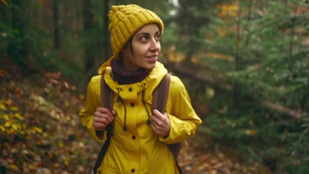 Girl walks on trail with thicket and and fallen trees. slow motion attractive young Woman hiker in yellow raincoat and knitted beany with backpack hiking in green wet woods at cold foggy autumn day — Stockvideo