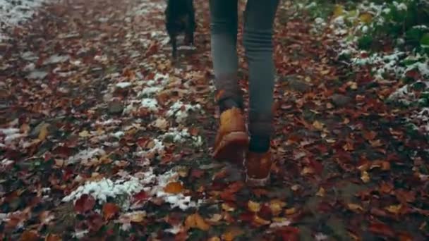 CERRAR: Detalle de botas de montaña de cuero vintage. Caminante aventurera irreconocible escalando sendero sucio rocoso y caminando cuesta arriba en el frío día de otoño húmedo con nieve. viajar con perro — Vídeos de Stock