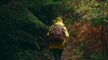 Yavaş çekim Arka Manzara: Parlak sarı elbiseli kadın turist, sonbahar gününde, sisli bir sonbahar gününde, sırt çantalı yürüyüş parkurunda yürüyüş parkurunda, hafta sonu açık hava turunda.