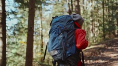 Park 'ta kadın yürüyüşçü. Sırt çantalı kız turist, orman parkında güneş ışığında yürüyor. Seyahat konsepti başarıya ulaştı. Yürüyüşçü vahşi parktaki çam ormanında yürüyor. kız kazanan feminizm konsepti
