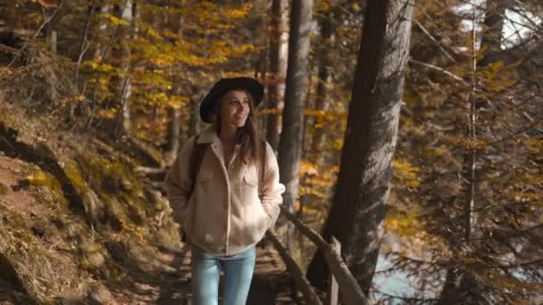 Женщина-туристка ходит по тропе в осеннем лесу в солнечный осенний день. женщина турист с рюкзаком походы в лесу вокруг горного озера в холодное солнечное утро, приключения открытый образ жизни — стоковое видео