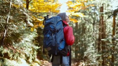 Ağır çekimde kadın yürüyüşçüsü, kırmızı yalıtılmış ceketli çekici genç kadın soğuk güneşli bir sabahta yeşil ormanda yürüyüş yapıyor, macera dolu açık hava yaşam tarzı.