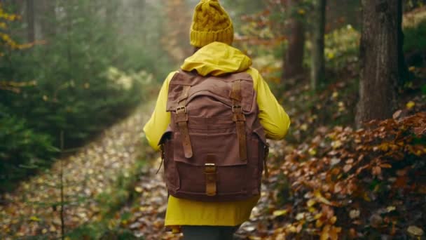 Zpomalená kamera následuje Žena turistka ve žluté pláštěnce s batohem. atraktivní šťastná mladá dívka s batohem turistika v zelených lesích za studena mlhavé deštivé podzimní den — Stock video