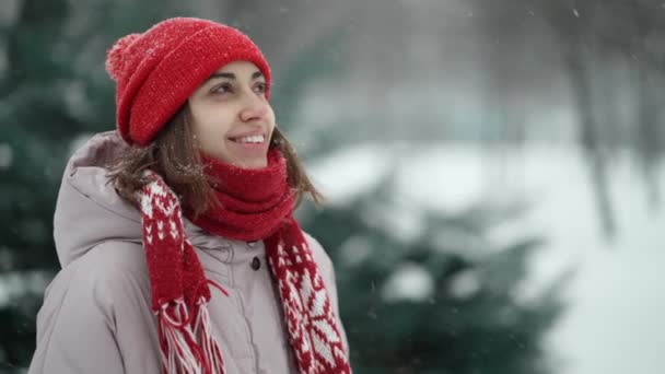 4k slow motion estremo primo piano volto di bella donna sorridente in maglia berretto rosso e sciarpa in piedi nel parco in inverno all'aperto. fiocchi di neve che soffiano, donna cheerfuly sorride — Video Stock