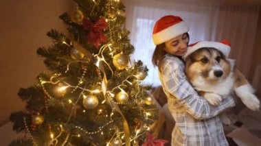 Noel Baba şapkalı neşeli kadının 4K yavaş çekimde elinde komik Galli Corgi köpeği, şenlikli bir evde kırmızı Noel Baba şapkası takıyor ve dans ediyor. Hayvan konseptiyle evde tatiller