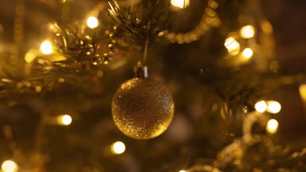 Cámara lenta cerca de bola adorno dorado colgando en la rama del árbol de Navidad en el interior. decoración de la casa y la preparación para celebrar la Navidad y el Año Nuevo en casa — Vídeos de Stock