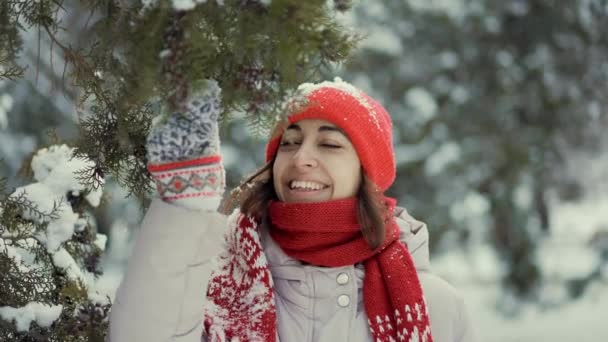 4k slow motion girl in knitted red scarf, beanie and mittens stands in park and shakes fir branch. snow falls on girls cap and face, woman laughs and have fun. portrait beautiful smiling young woman — Stock Video