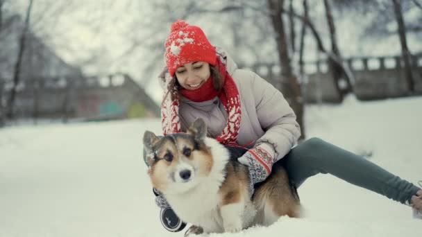 快乐的年轻女子和她那只湿透了的科奇犬在雪地的冬季公园里散步。女人和爱抚说话，抚摸他。一个女孩和一个宠物的友谊一起玩的开心狗是最好的朋友 — 图库视频影像