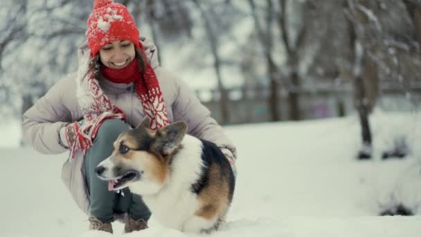 Glad ung kvinna går med sin walesiska corgi hund i snöig vinterpark. kvinna pratar med husdjur, smeker honom. Vänskap med en flicka och ett husdjur. Ha kul tillsammans. Hundar är bästa vänner — Stockvideo
