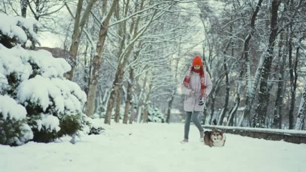 4k慢动作美丽的年轻女子穿着长袍，编织着红色的贝尼帽，带着她的威尔士科吉犬在冬季外出散步。3.女孩和她的爱犬在雪地的公园里追着暴风雪散步 — 图库视频影像