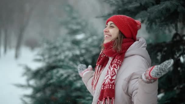 若いかなり率直な笑顔幸せな女性ですウールミトンと赤い帽子暖かいパーカーを身に着けています雪の中公園で遊んで歩く,暖かい服,楽しみを持っています,雪の結晶が吹いて. — ストック動画
