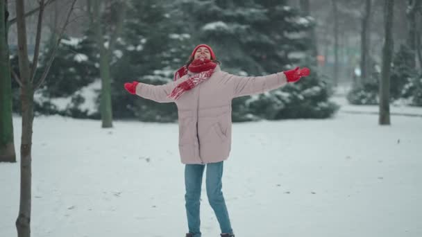 Χαρούμενη γελαστή γυναίκα που περπατάει και τρέχει παιχνιδιάρικα στο πάρκο την ώρα που χιονίζει. παγωμένη χειμωνιάτικη μέρα με χιόνι — Αρχείο Βίντεο