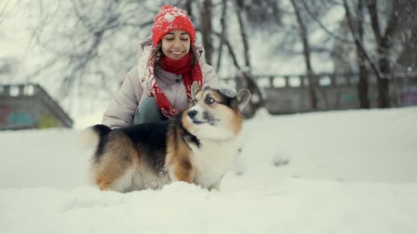 快乐的年轻女子和她那只湿透了的科奇犬在雪地的冬季公园里散步。女人和爱抚说话，抚摸他。一个女孩和一个宠物的友谊一起玩的开心狗是最好的朋友 — 图库视频影像