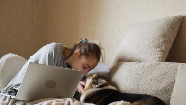 Υπέροχη νεαρή γυναίκα εργάζεται με φορητό υπολογιστή στον καναπέ στο σπίτι με χαριτωμένο Welsh Corgi Pembroke βρίσκεται κοντά στο σαλόνι. τεμπέλικο σκυλί στο σπίτι, περιμένει να πάει μια βόλτα. κορίτσι χαϊδεύει και χαϊδεύει το σκύλο. — Αρχείο Βίντεο