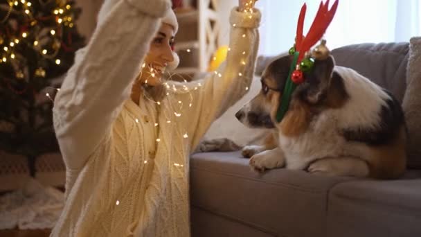 B-roll czuła kobieta w Santa Hat stawia na światła girlanda na zabawny walijski pies Corgi w reniferów poroża opaskę, całuje go i głaskanie w świątecznym urządzonym domu z choinką — Wideo stockowe