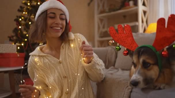 Sorrindo jovem mulher no chapéu de Santa se divertindo segurando luzes e dançando, sentado em seu engraçado cão Corgi vestindo em chifres de rena headband em casa decorada com árvore de Natal. Movimento lento b-roll — Vídeo de Stock