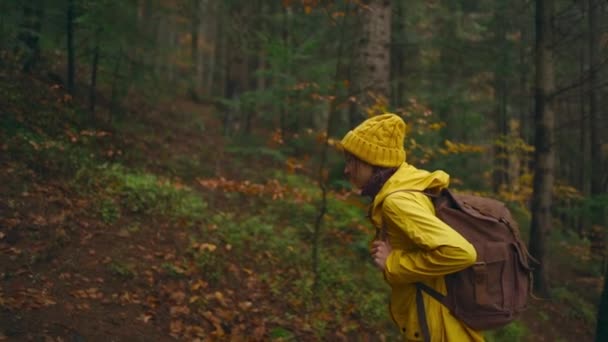 Молодая женщина с рюкзаком поднимается по отмеченной лесной тропе, предлагая живописный вид на деревья, меняющие цвет. туристка, гуляющая в осеннем лесу — стоковое видео