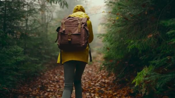 Камера замедленного движения следует за женщиной-туристкой в жёлтом плаще с рюкзаком. Привлекательная счастливая девушка с рюкзаком в зеленых лесах в холодный туманный дождливый осенний день — стоковое видео