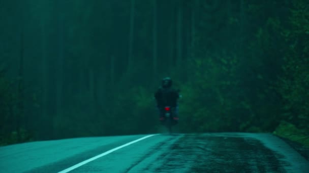 Gloomy mistig landschap met weg in het midden van donker bos op regenachtige mistige dag. fietstochten over de weg. wazige clip. — Stockvideo