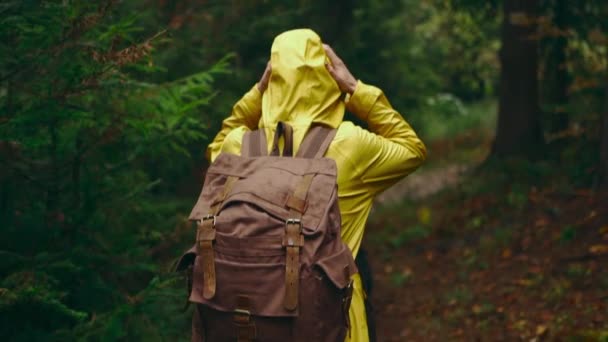 Замедленное движение женский поход в лес осенью. приключенческая женщина в желтой одежде на открытом воздухе с рюкзаком походы по тропе мирные зеленые леса с отслеживания выстрел сзади — стоковое видео