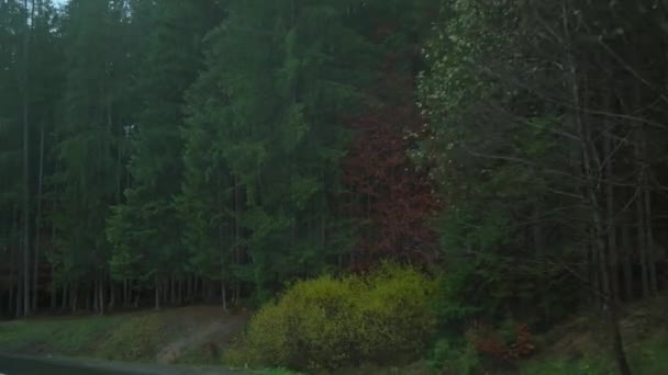 Jadąc wzdłuż drogi wzdłuż jesiennego lasu. POV ujęcia z kamery przejeżdżającej przez piękną pustą drogę w górach — Wideo stockowe