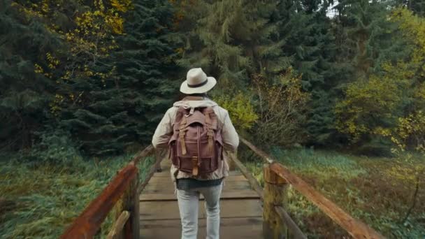 Hombre aventurero en sombrero con mochila senderismo en el sendero hasta la tranquila exuberante alta elevación verde bosque de otoño con seguimiento de tiro por detrás — Vídeos de Stock