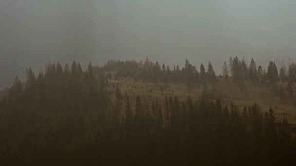 Ködös táj gyönyörű hegyekkel borított ködhullámokkal. Köd a völgyben, fák sziluettjével a hegyekben. — Stock videók