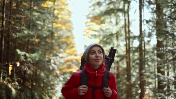 Šťastná inspirovaná žena s batohem kráčející po lesích. Podzimní dovolená a dovolená výlet, ženské turistické studentky na digitální detox, pěší túra dovolená, v blízkosti přírody, kardio školení — Stock video