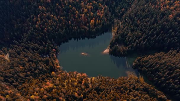 드롤론 은유 명 한 고산 지대의 호수 인세네 피르 주위를 날아 다닙니다. 우크라이나, 카르파티아 의산에 그림자를 드리우고 있는 키큰 소나무 — 비디오